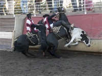 Rodeo La Reina 2012